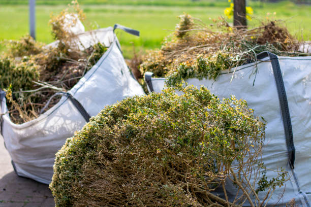 Shed Removal in Clarcona, FL